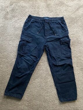 American Eagle Outfitters Dark Blue Cargo Drawstring Pants